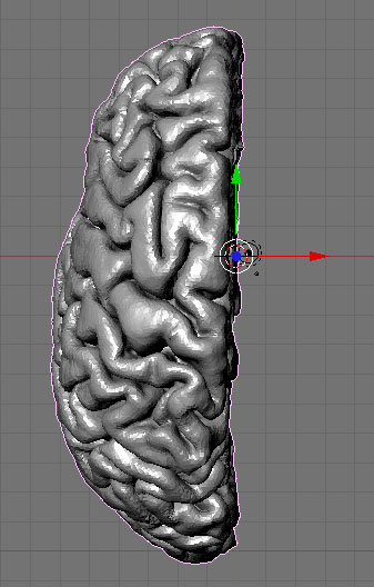 brainModelBlender.jpg