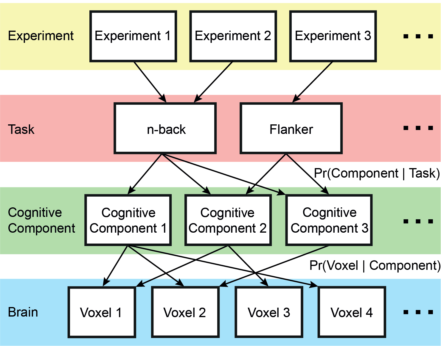 Hierarchical Bayesian Model