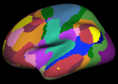 Yeo2011_JNeurophysiol_17networks_lateral.png