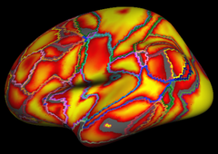 Yeo2011_JNeurophysiol_17networks_lateral_confidence.png