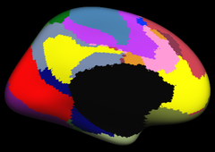 Yeo2011_JNeurophysiol_17networks_medial.png