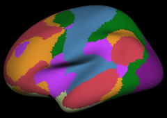 Yeo2011_JNeurophysiol_7networks_lateral.png