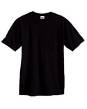FreesurferTShirt/WinningTshirt2012/men_black_tshirt.jpg