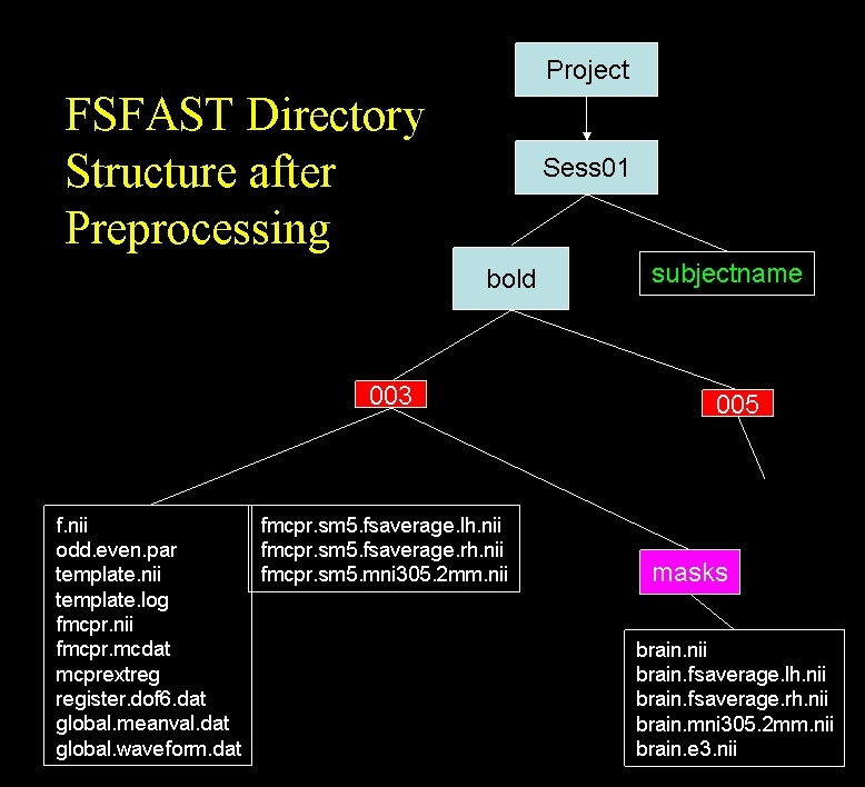 fsfast.dirstruct.after-preproc.jpg