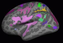 groupana.lat.clusters.gif