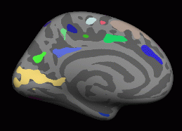 groupana.med.clusters.gif