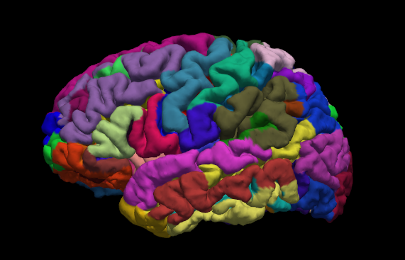 Destrieux Cortical Parcellation