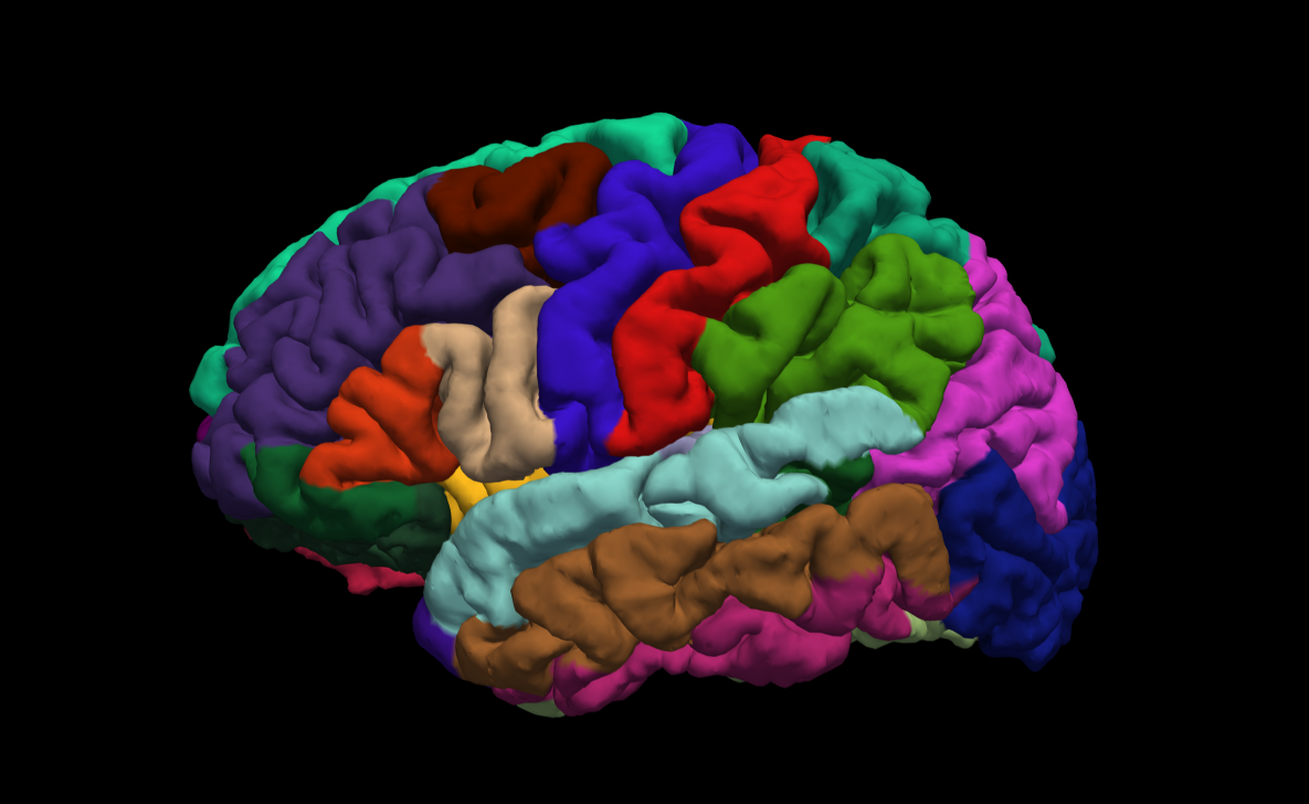 Desikan-Killiany Cortical Parcellation