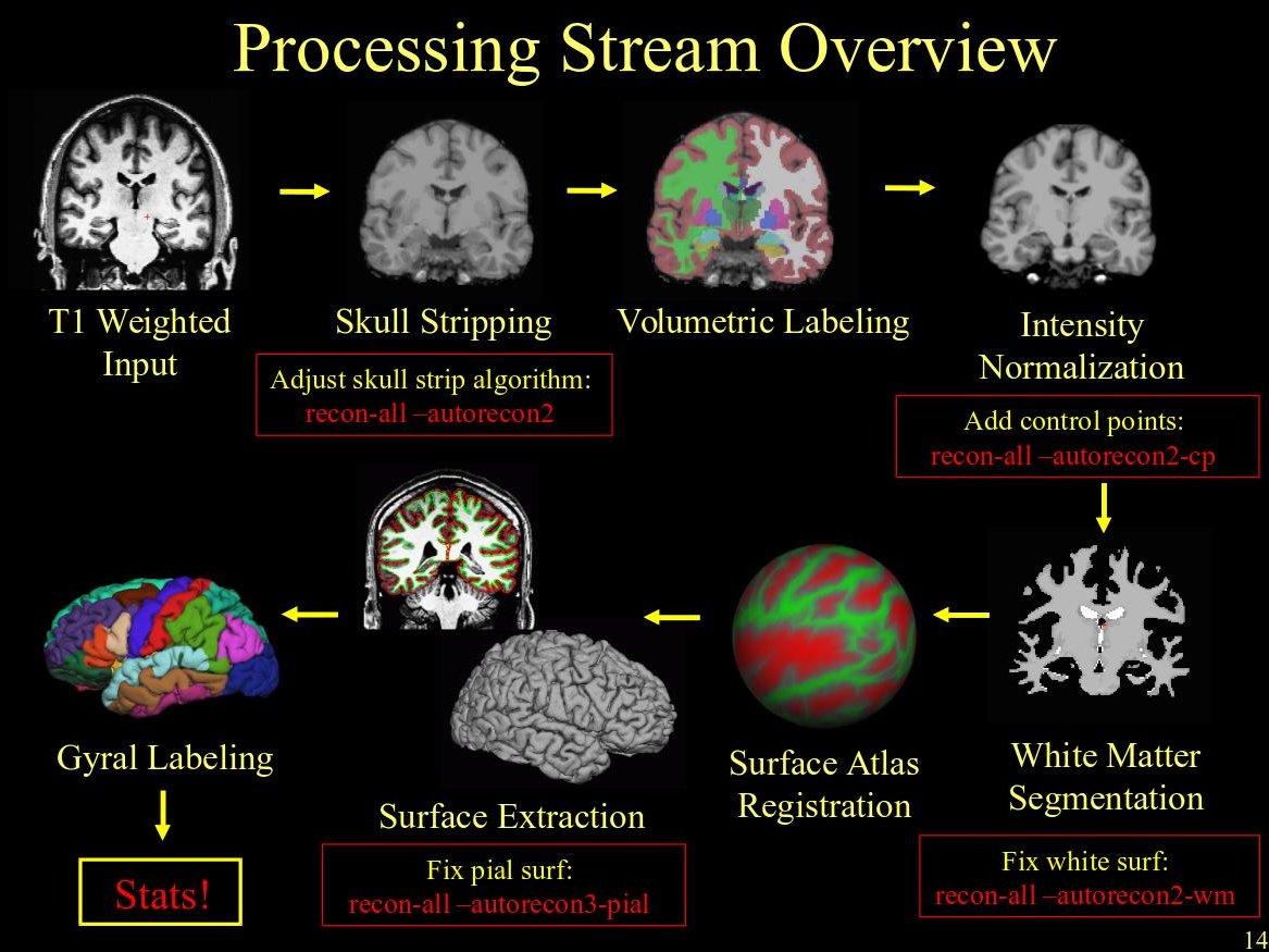 processingstream.jpeg