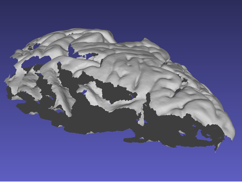 13_bad_mesh.png