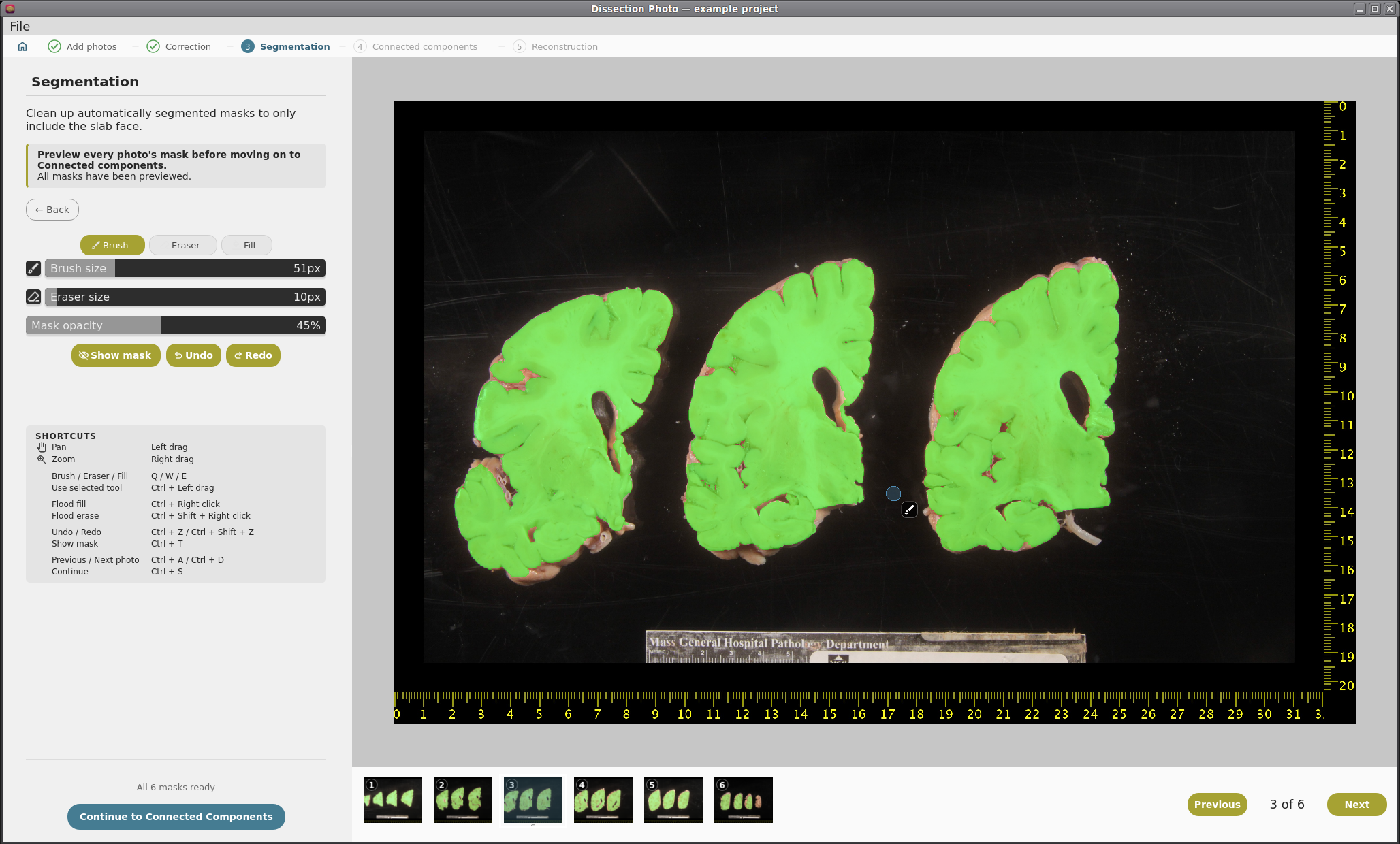 ds2_08_segmentation_mask_on.png