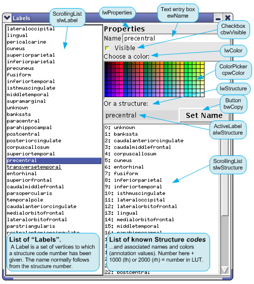 tksurfer_labels_dlog_comps.jpg