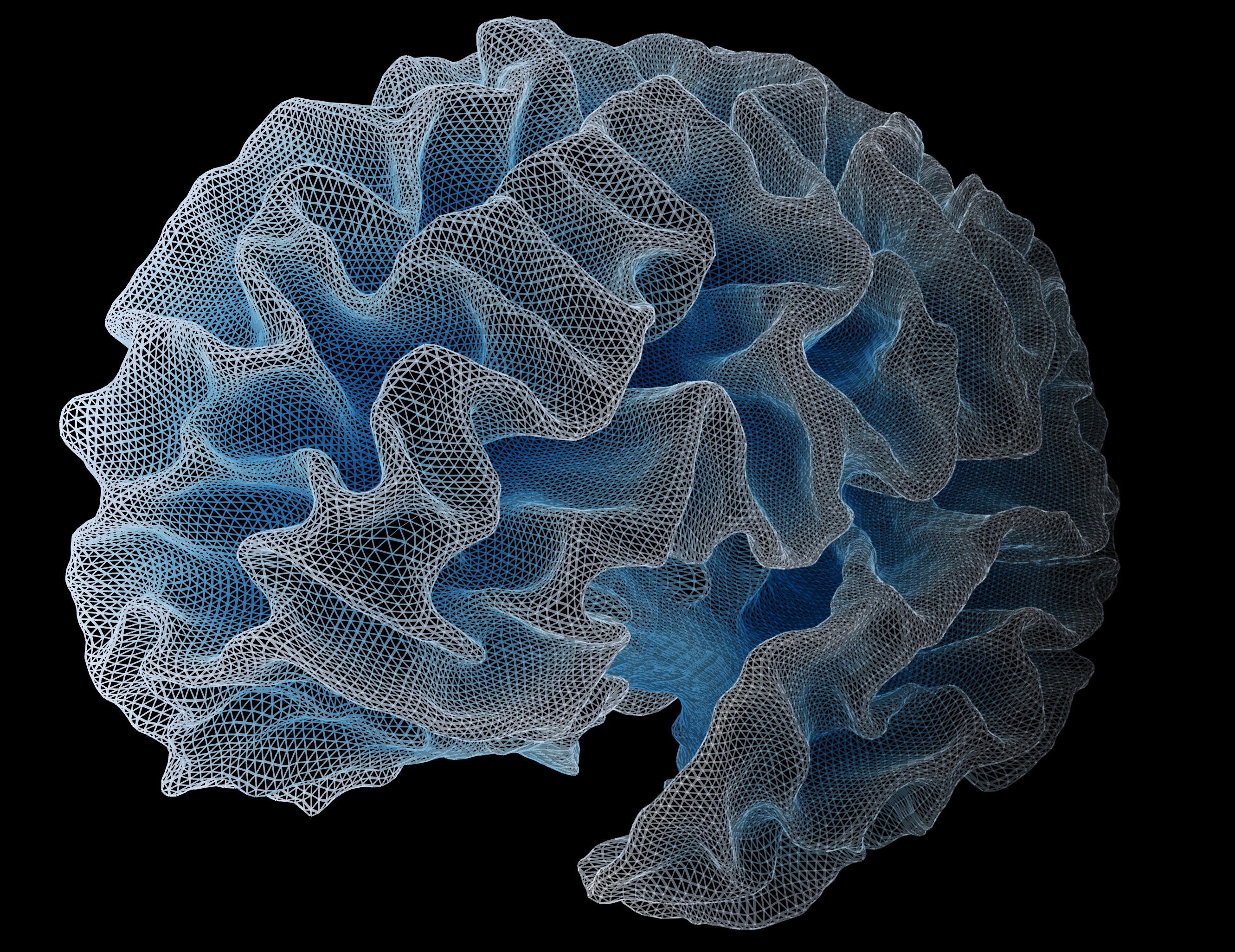 File:Brain Size Map.png - Wikipedia