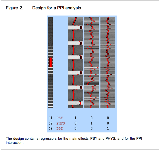 final PPI model